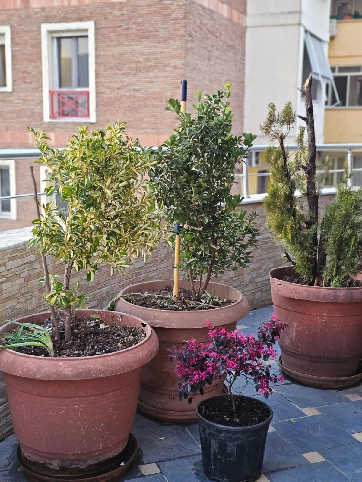 Main Apartment Tirana Kültér fotó