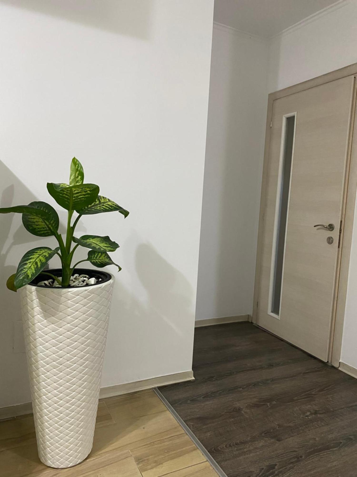 Main Apartment Tirana Kültér fotó
